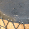 Basstrommel-Detail